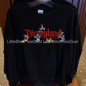 Disney Parks Disneyland Mickey & Friends Black Pullover Sweatshirt